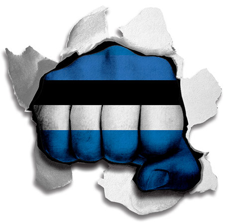 Fist Estonia Flag Logo iron on paper